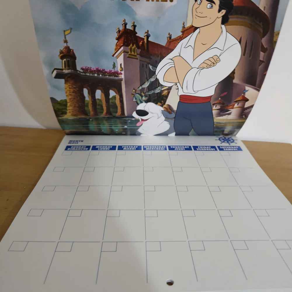 Oh My Disney DIY ANY YEAR Calendar Princes NEW Rare